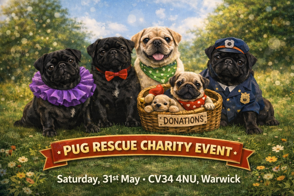 🐾 Pug Rescue Charity Event- PoppyPawz