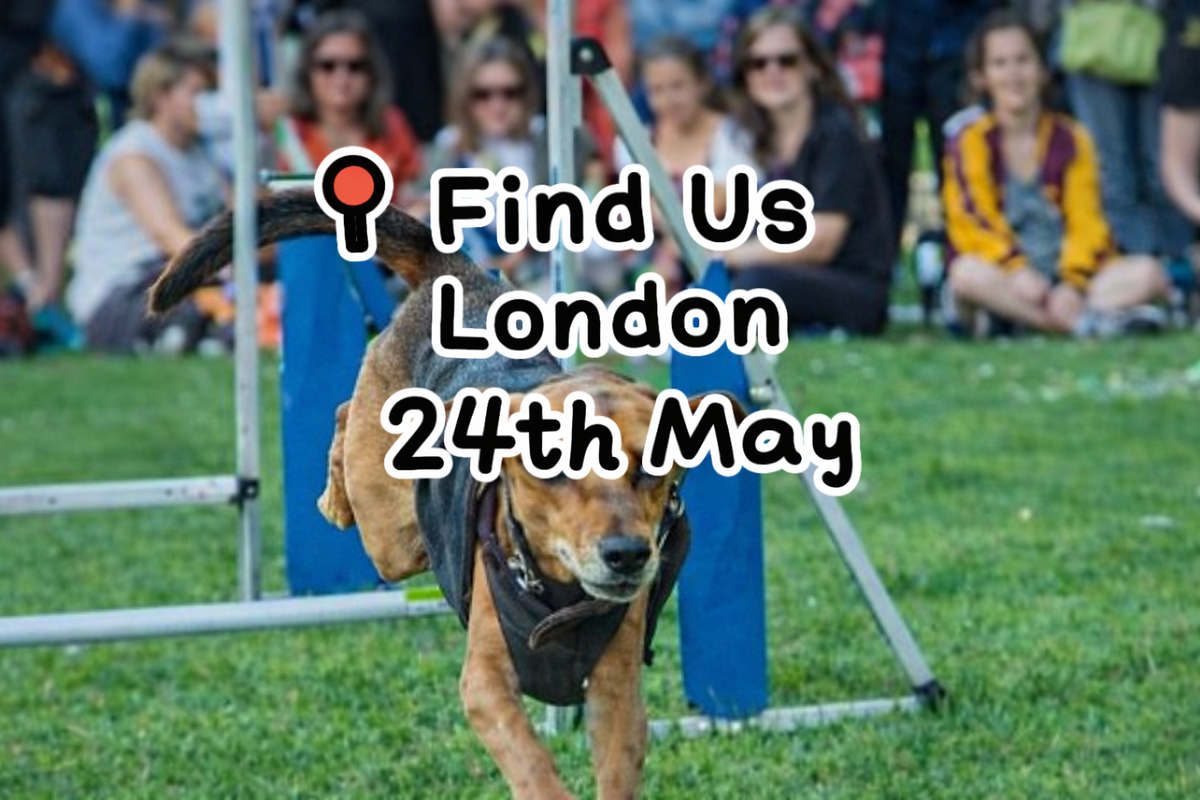 🐾 PoppyPawz at Greenwich Dog Show 2026