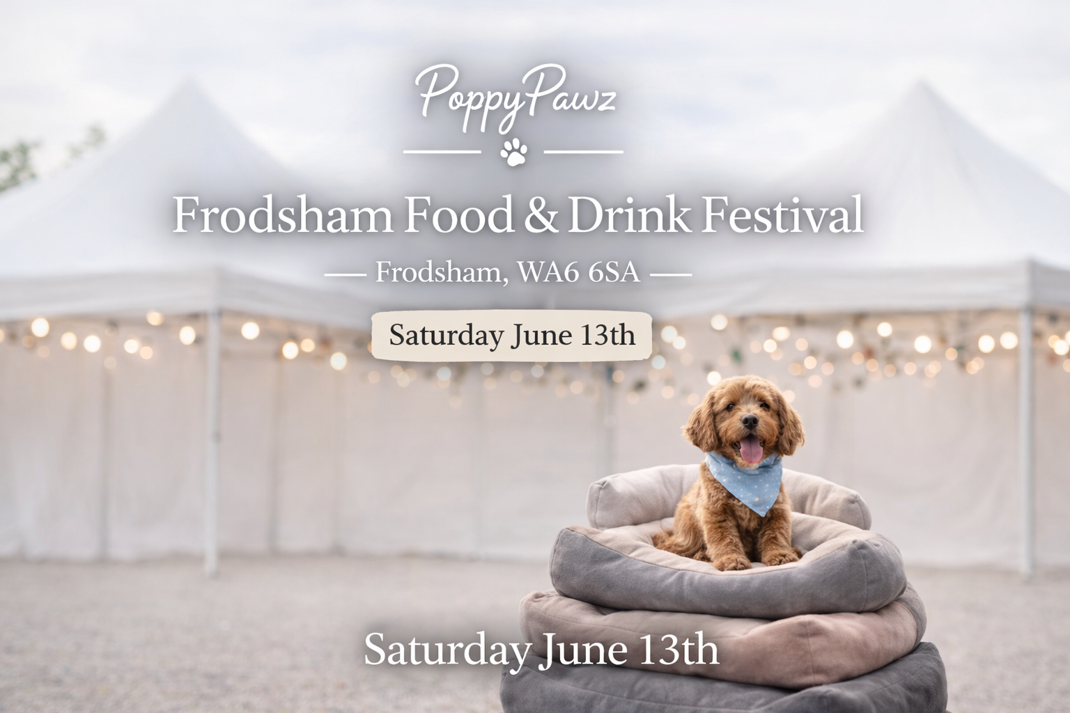 Frodsham  Festival — Event Update