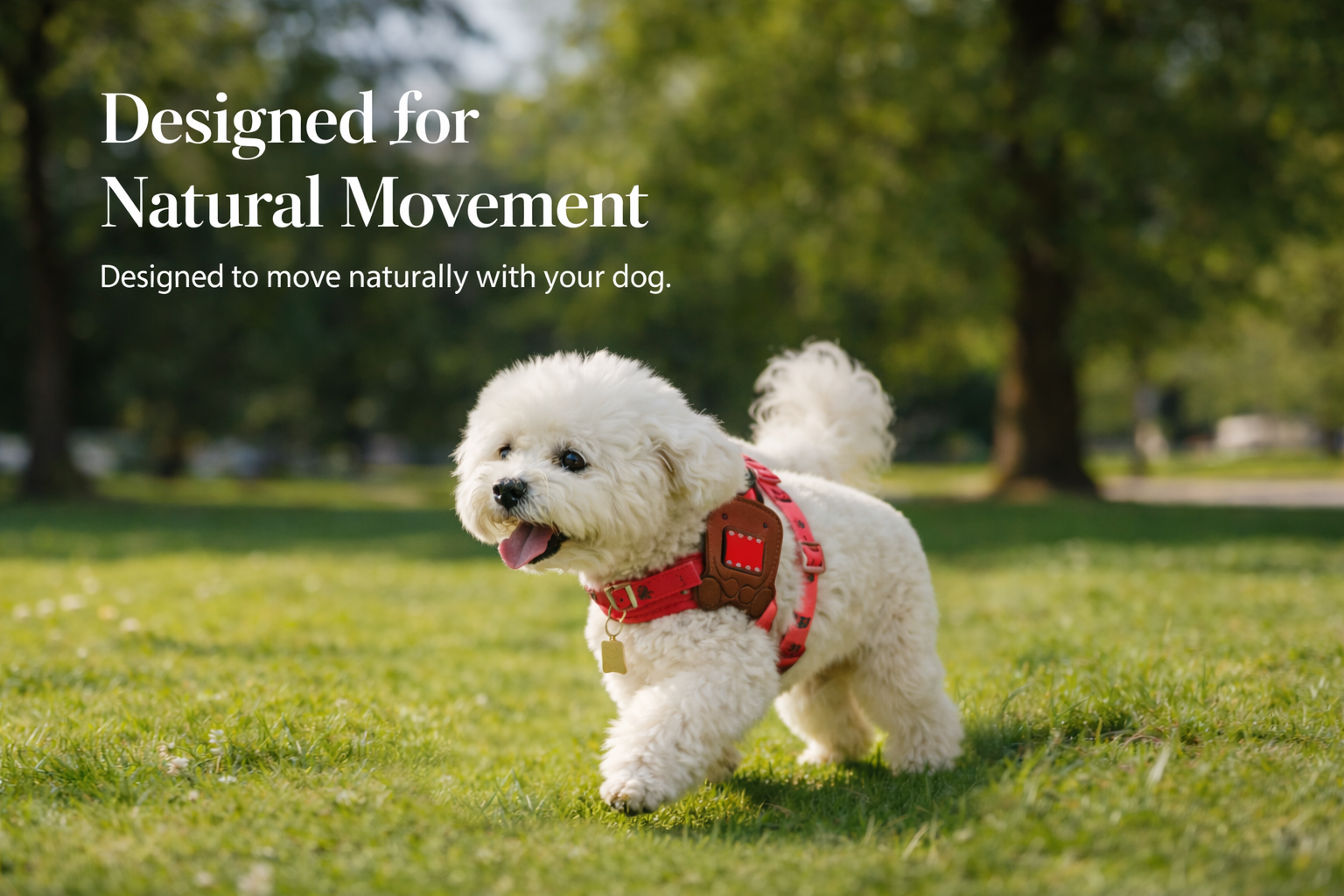 Inspired by Everyday Pet Moments