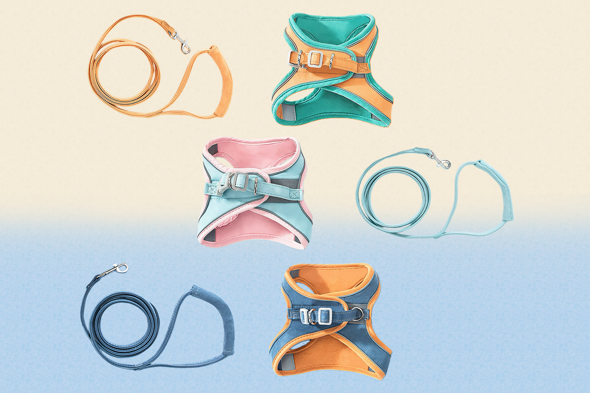 Cat Harnesses