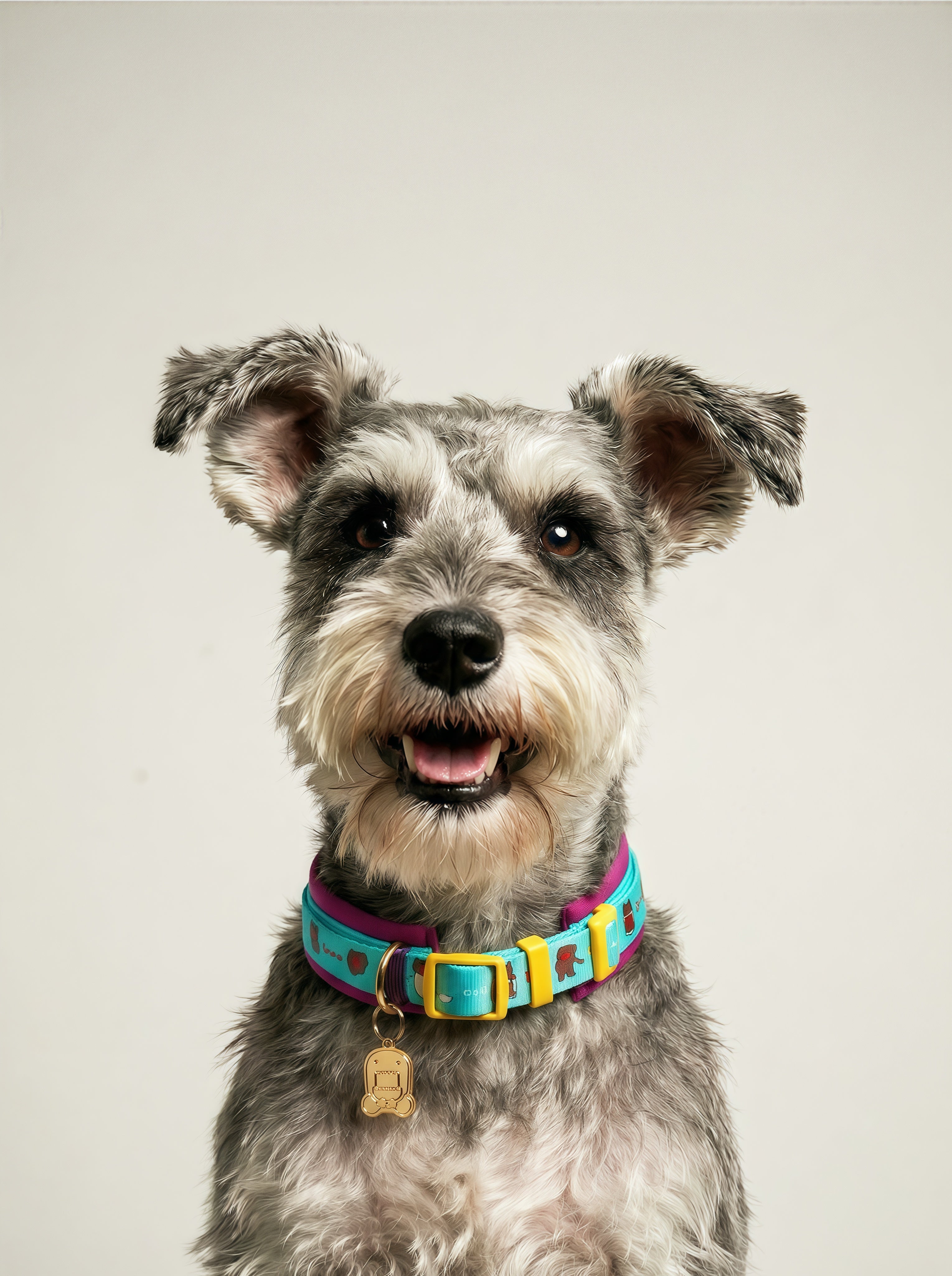 Adjustable Neoprene Dog & Cat Collar with ID Tag