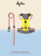 Waterproof No-Pull Dog Harness and Lead Set