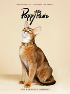Luxury Dog & Cat Collar with Gold Jewel Charm