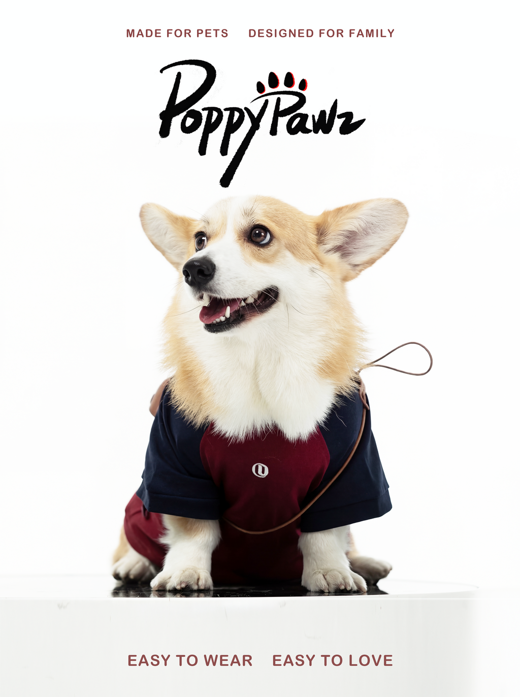 Matching Dog and Owner T-Shirt Set Burgundy