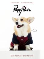 Matching Dog and Owner T-Shirt Set Burgundy