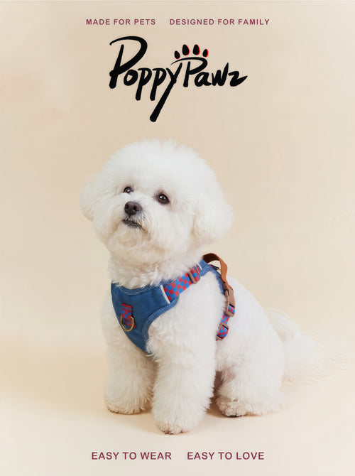 Denim No-Pull Dog Harness and Lead Set