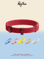 Soft Elastic Safety Collar