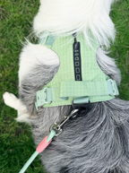Reflective No-Pull Dog Harness and Lead Set