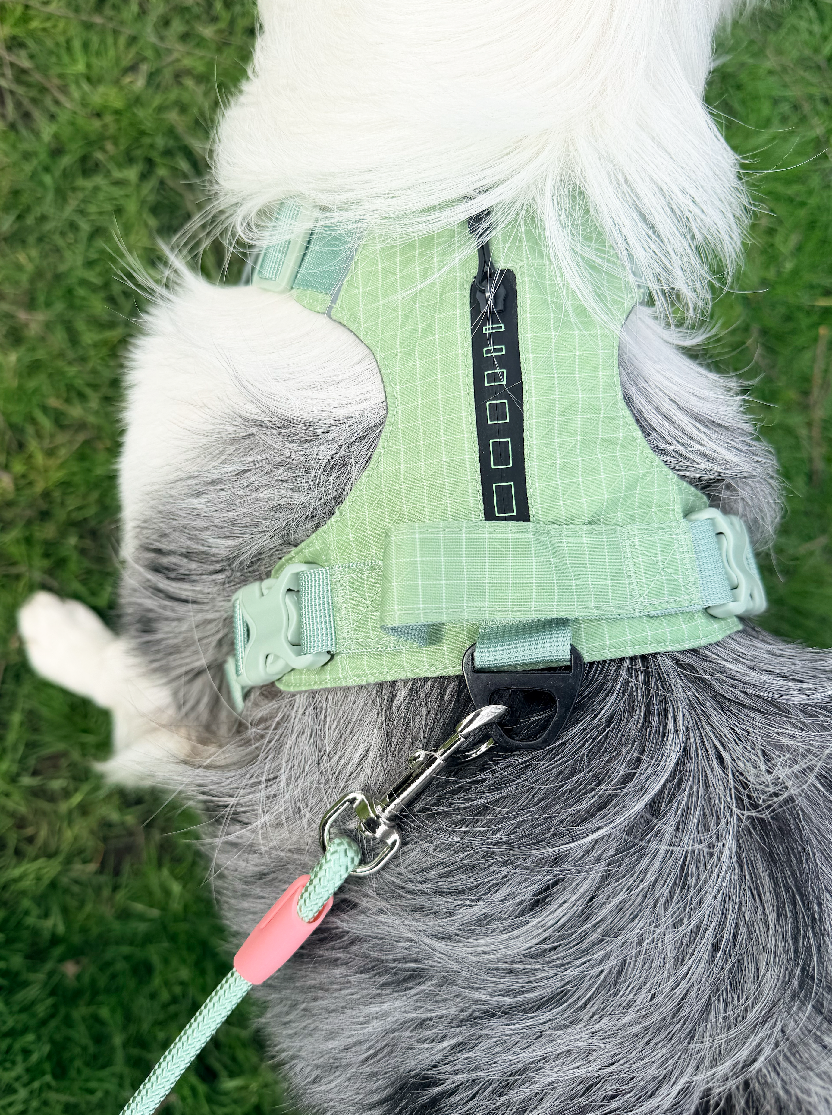 Reflective No-Pull Dog Harness and Lead Set
