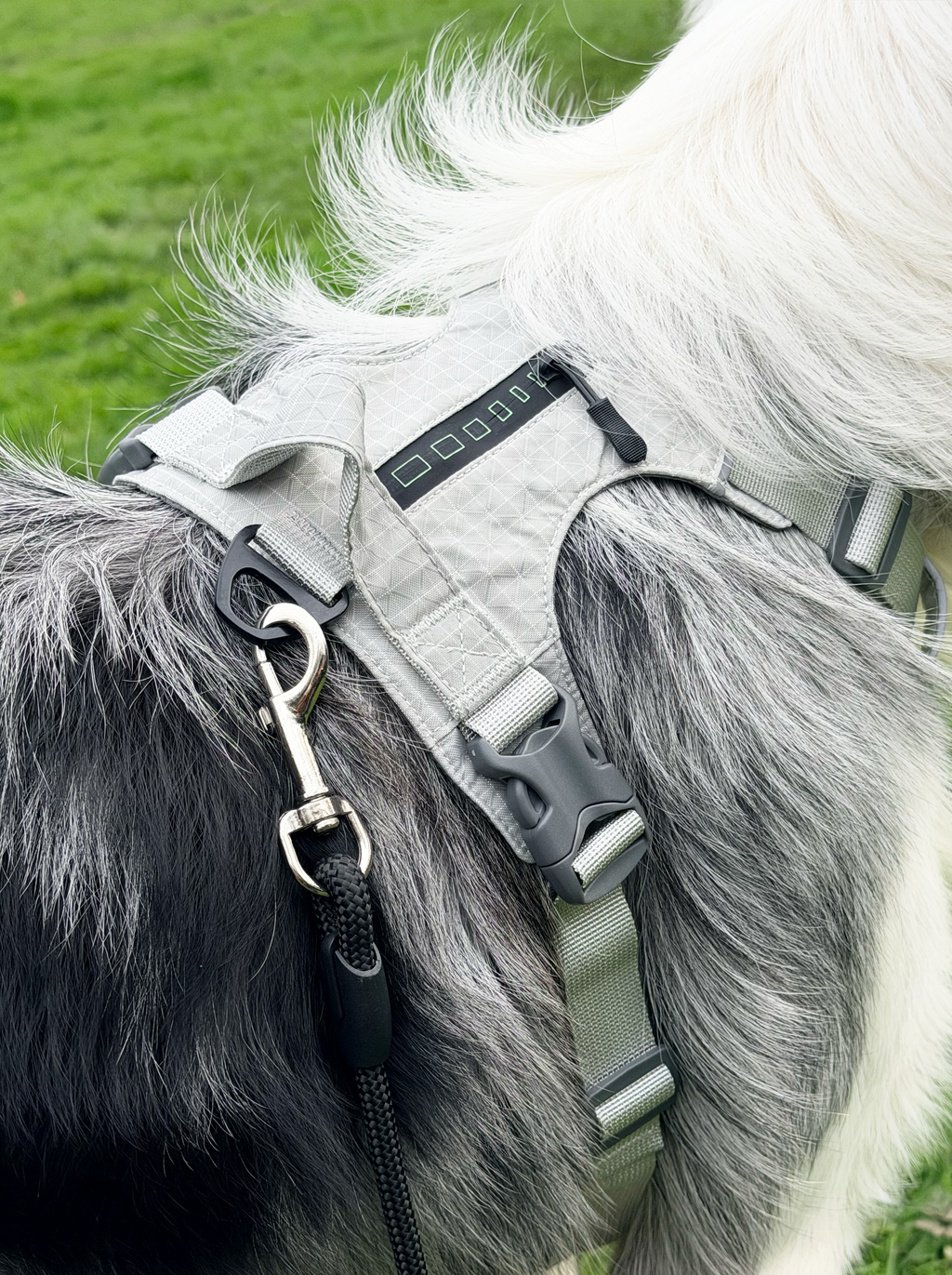 Reflective No-Pull Dog Harness and Lead Set