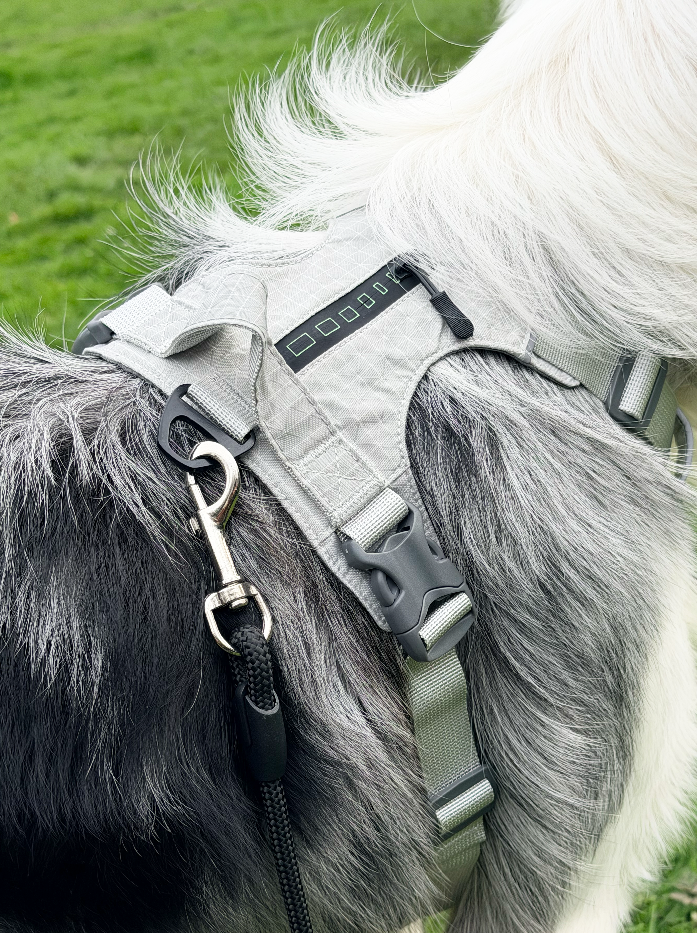 Reflective No-Pull Dog Harness and Lead Set