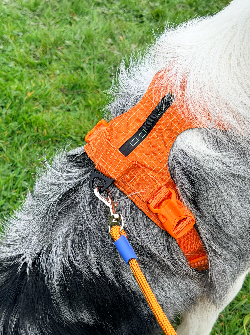 Reflective No-Pull Dog Harness and Lead Set