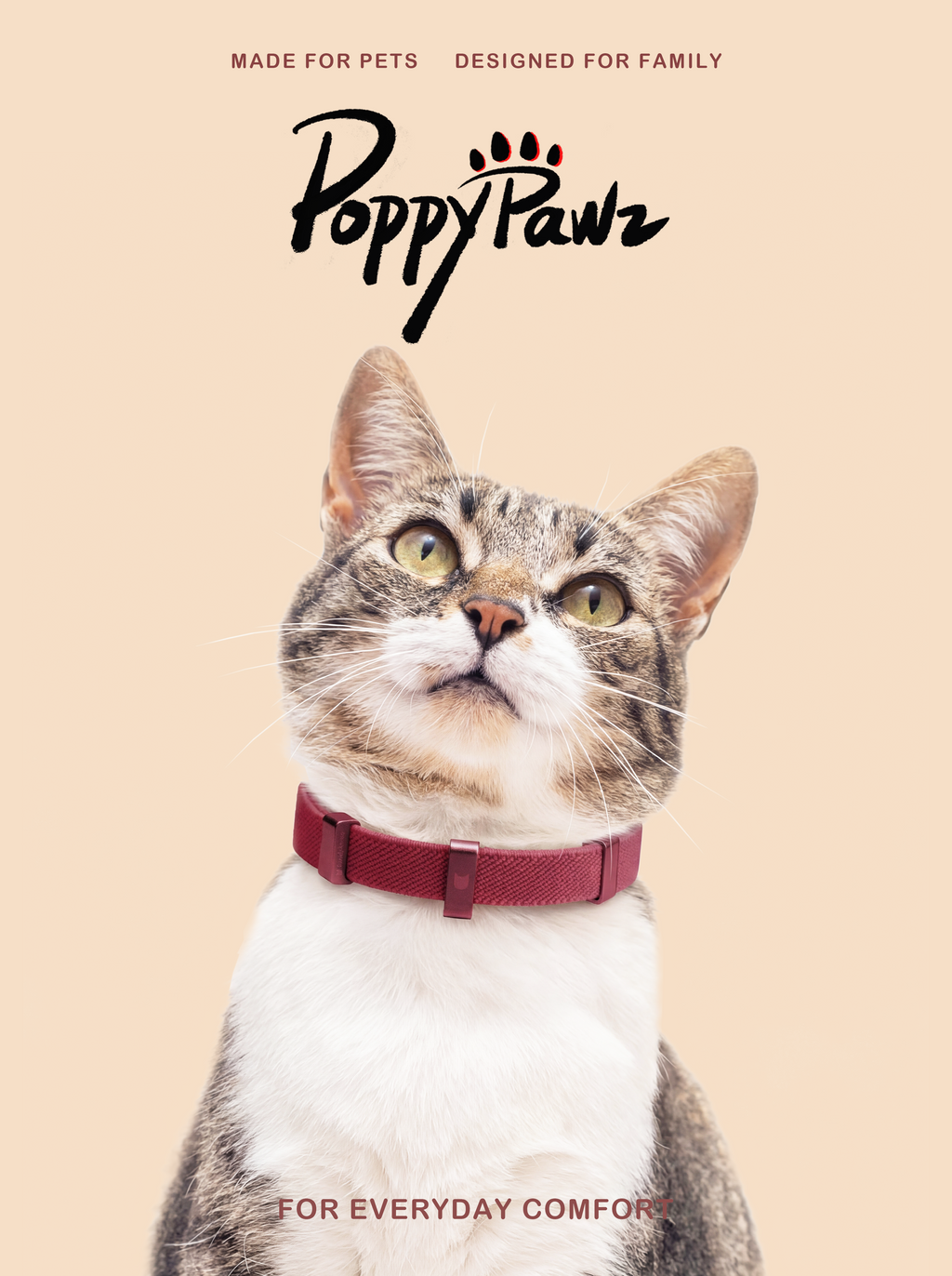 Soft Elastic Safety Collar