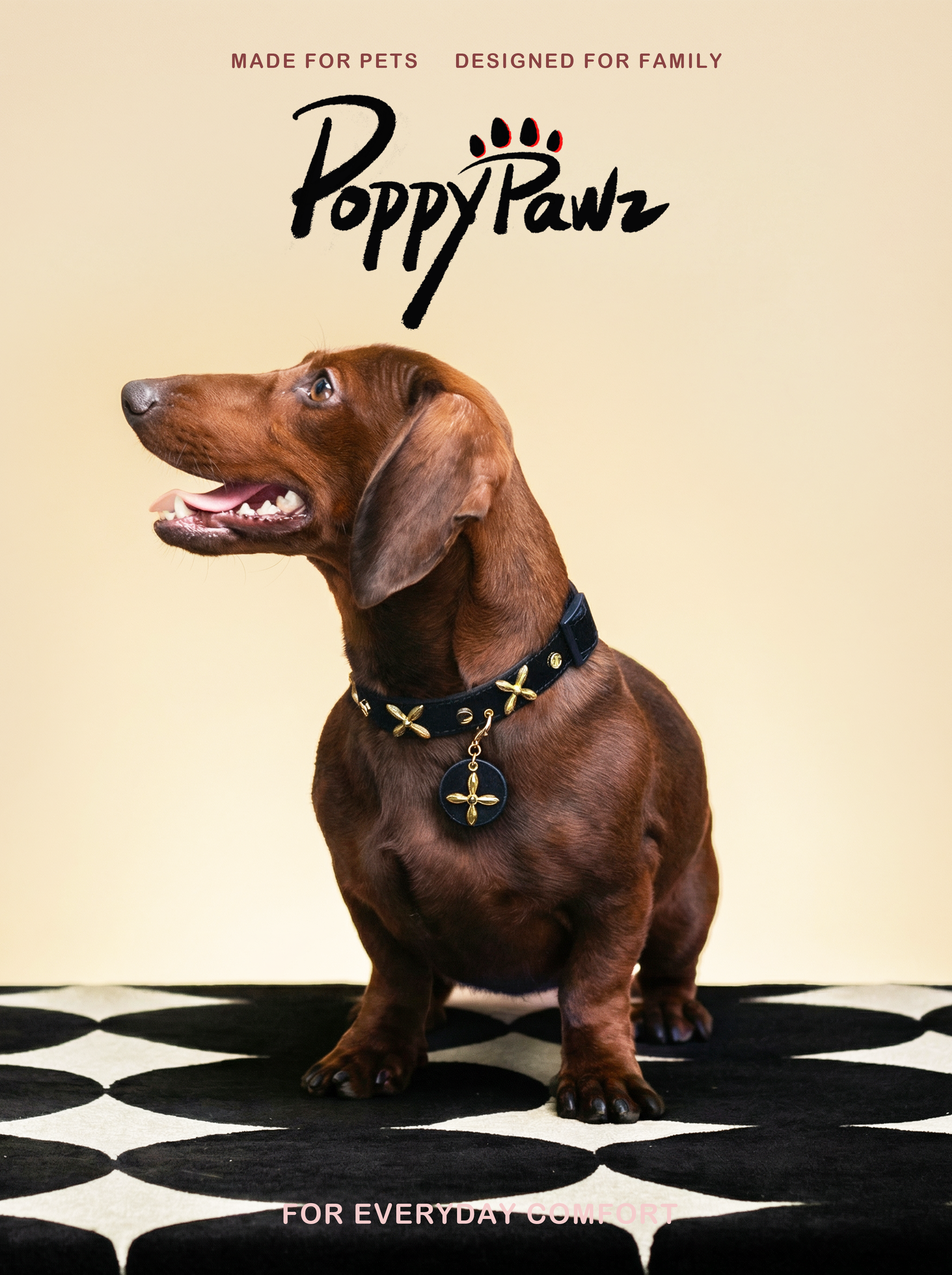 Luxury Leather Dog & Cat Collar with Clover Charm | Golden Clover