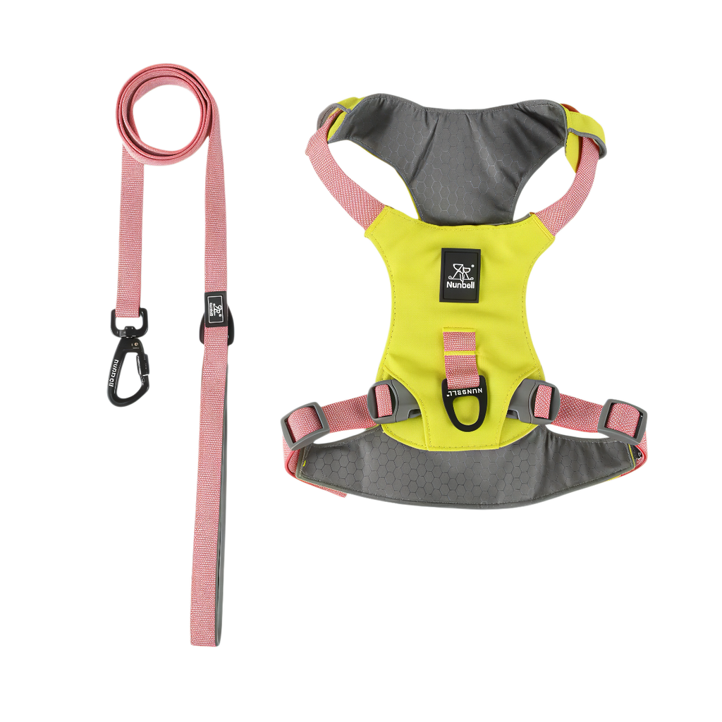 Lightweight Waterproof Dog Harness and Lead Set with ID Tag