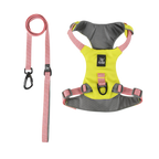 Lightweight Waterproof Dog Harness and Lead Set with ID Tag
