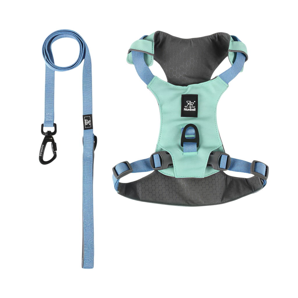 Lightweight Waterproof Dog Harness and Lead Set with ID Tag