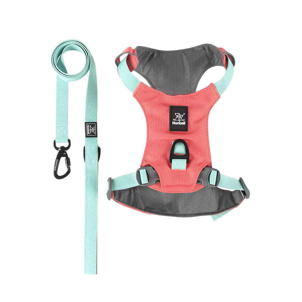 Lightweight Waterproof Dog Harness and Lead Set with ID Tag