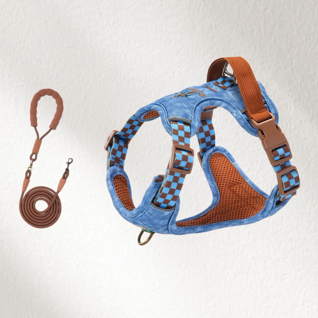 Denim Dog Harness and Lead Set