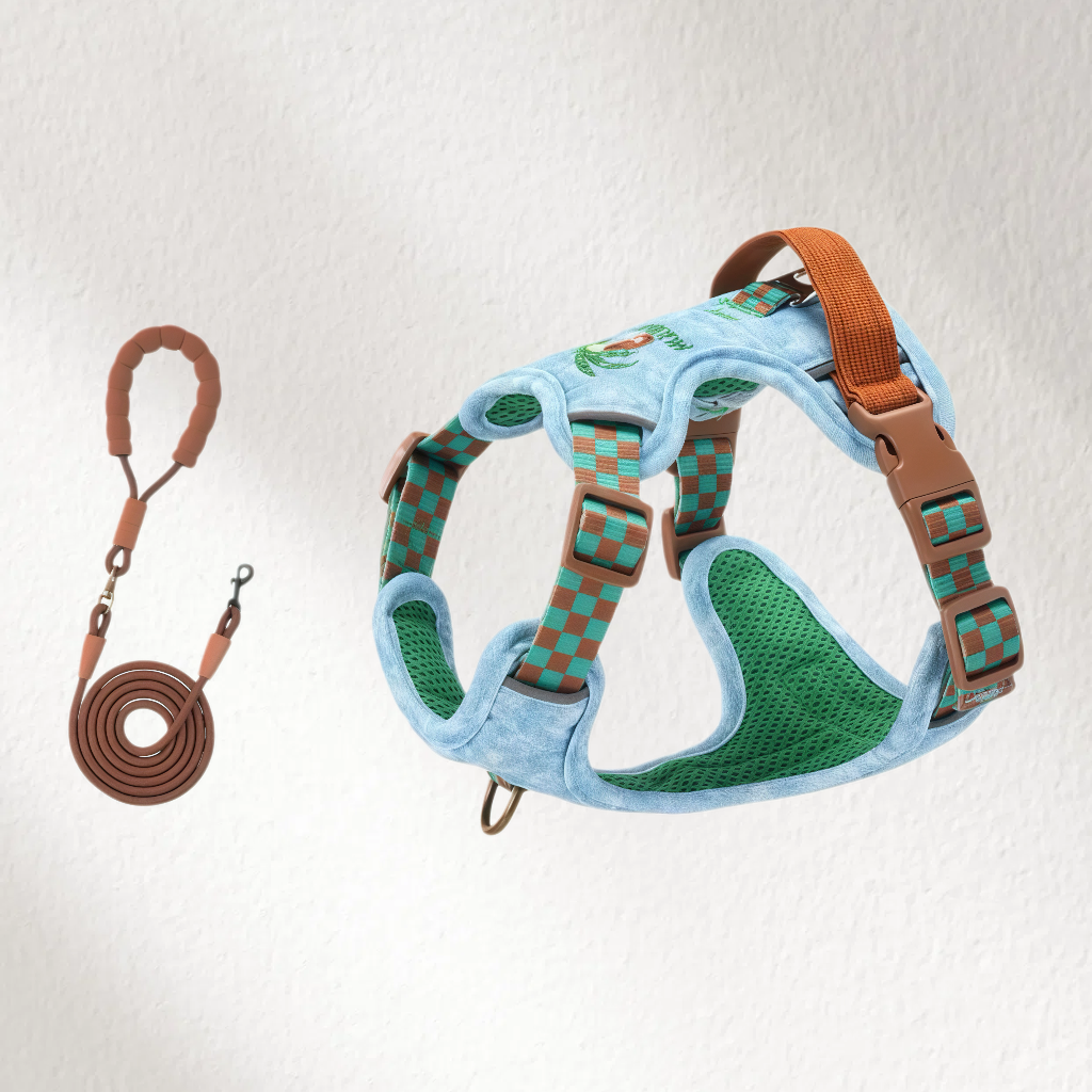 Denim Dog Harness and Lead Set