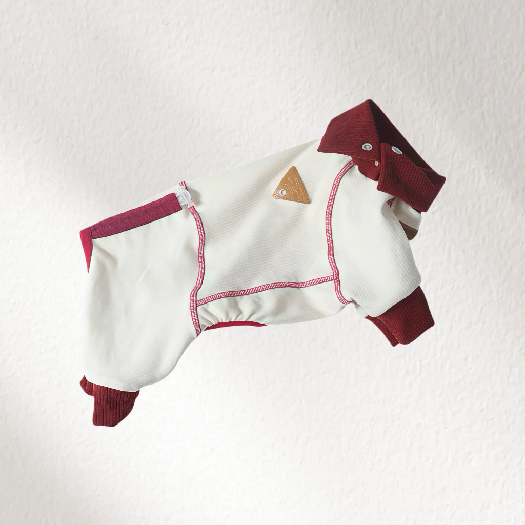 Warm Full-Cover Four-Leg Dog Onesie