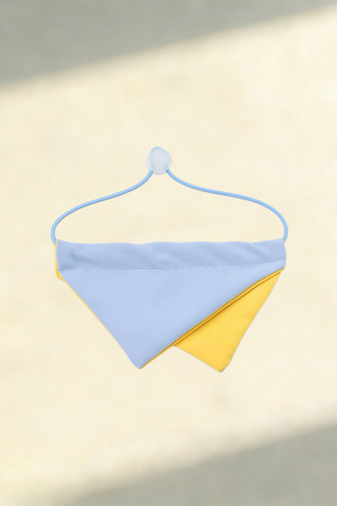 Personalised Pet Bandana