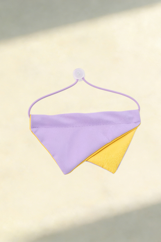 Personalised Pet Bandana