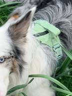 Reflective No-Pull Dog Harness and Lead Set
