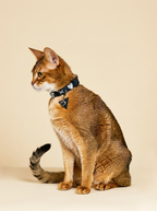 Midnight Heart Collar