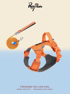 Reflective No-Pull Dog Harness and Lead Set