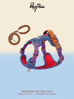 Denim No-Pull Dog Harness and Lead Set