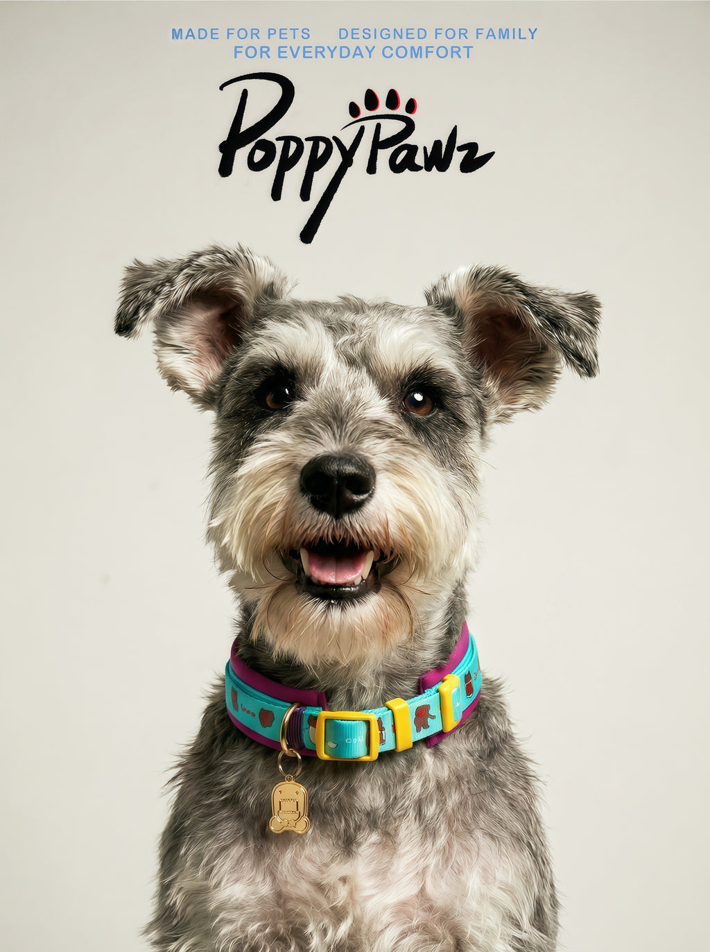 Adjustable Neoprene Dog Collar