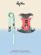 Waterproof No-Pull Dog Harness and Lead Set