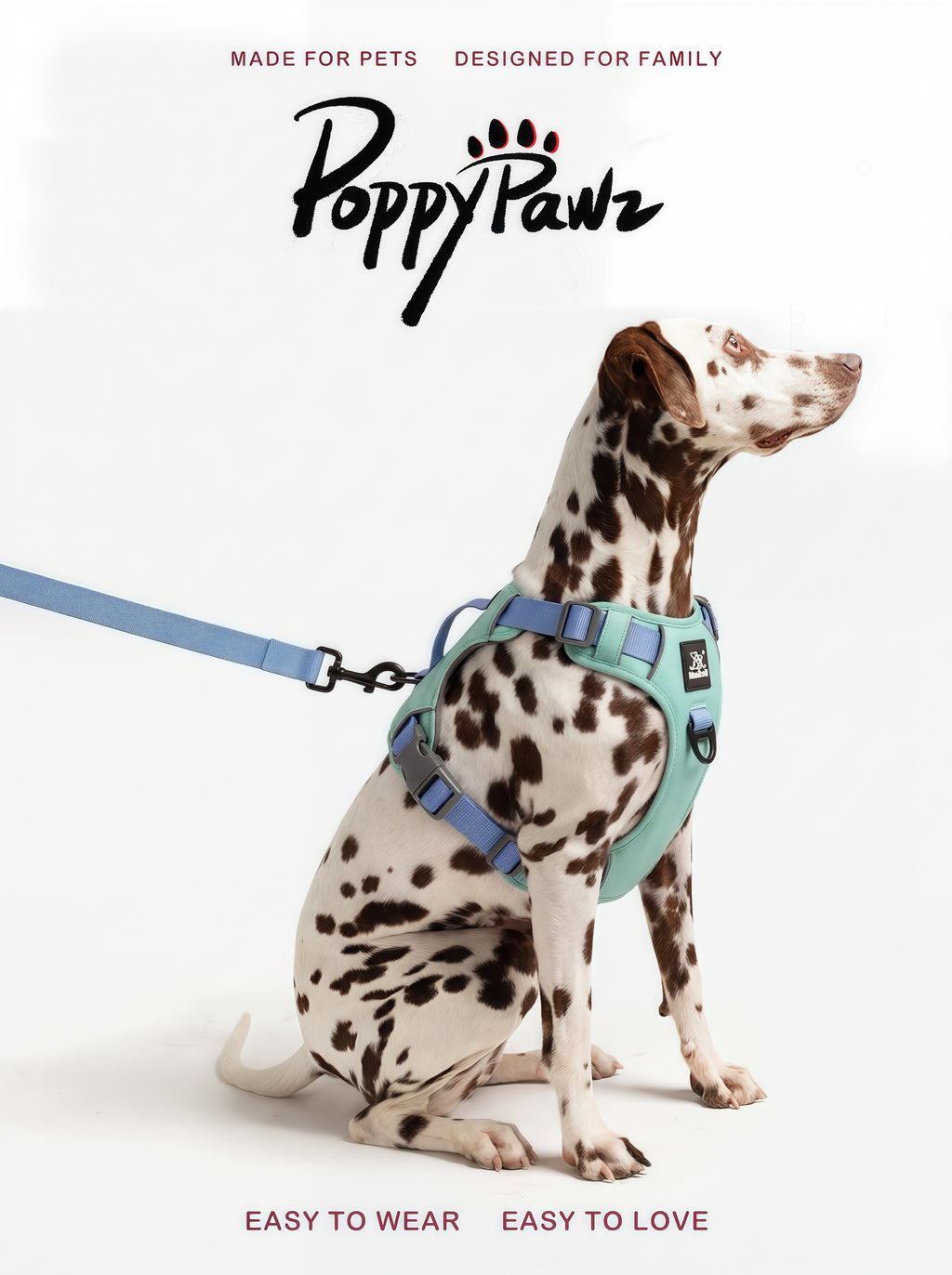 Lightweight Waterproof Dog Harness and Lead Set with ID Tag