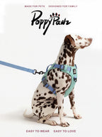 Lightweight Waterproof Dog Harness and Lead Set with ID Tag