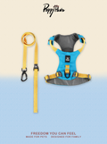 Waterproof No-Pull Dog Harness and Lead Set