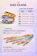 Embroidered Leather Dog Collar and Lead Set