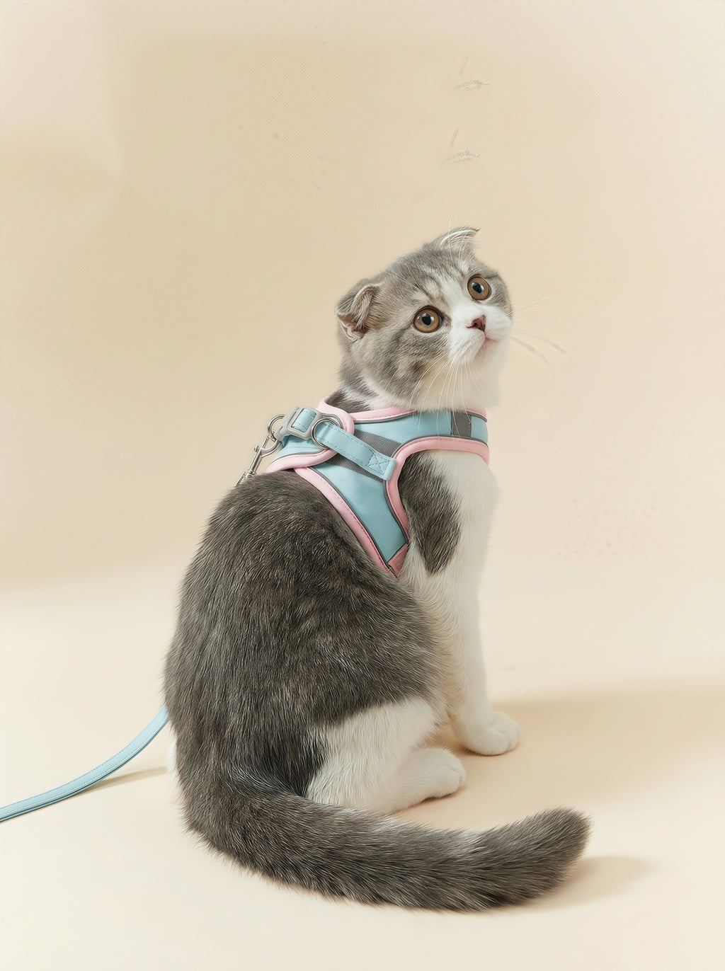 Suede Dog & Cat Harness and Lead Set with ID Tag