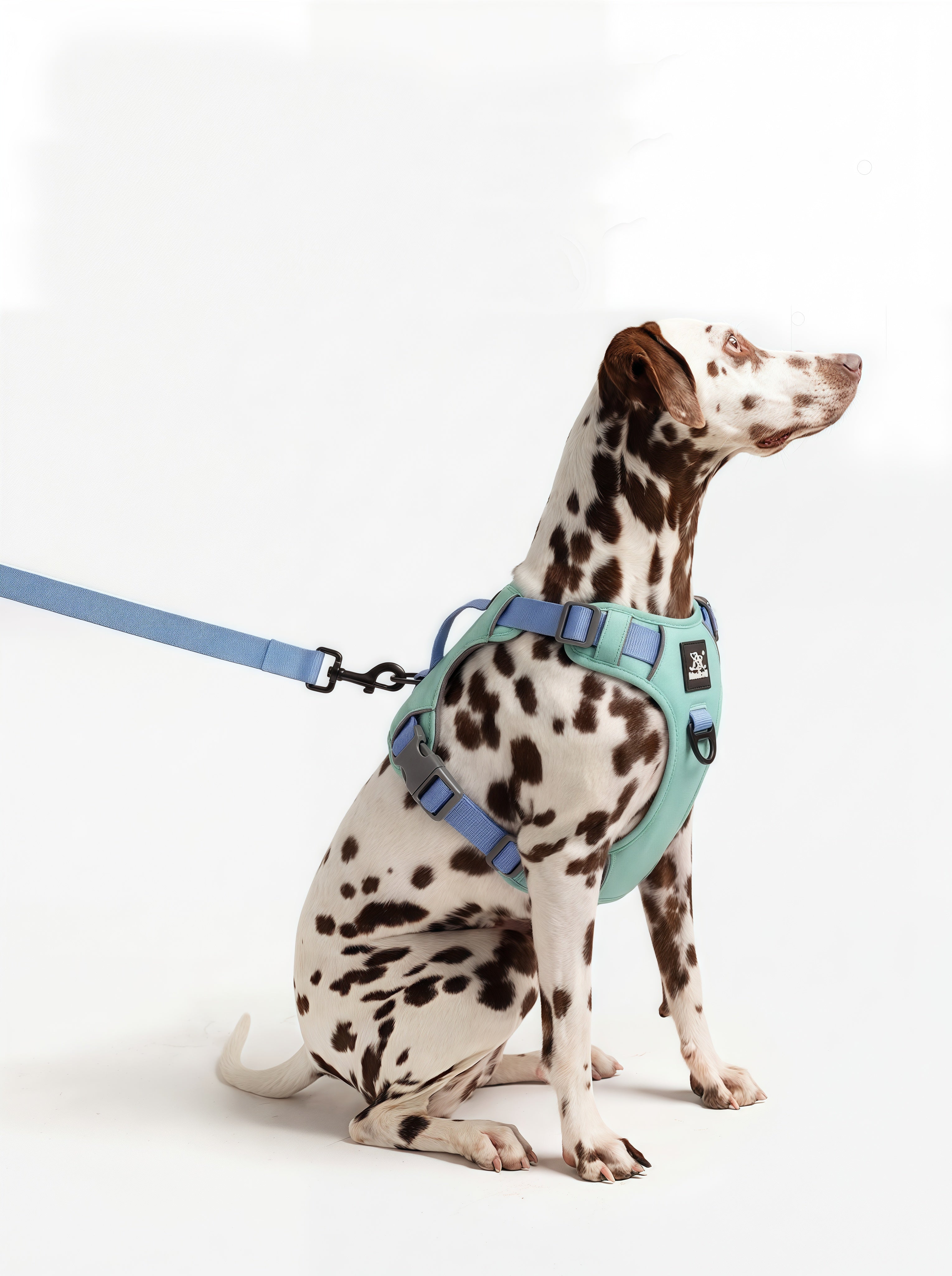 Lightweight Waterproof Dog Harness and Lead Set