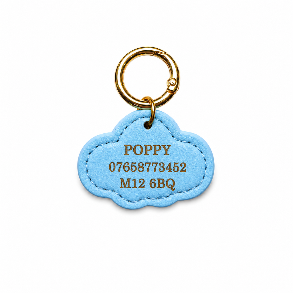 Personalised ID Tag Blue*