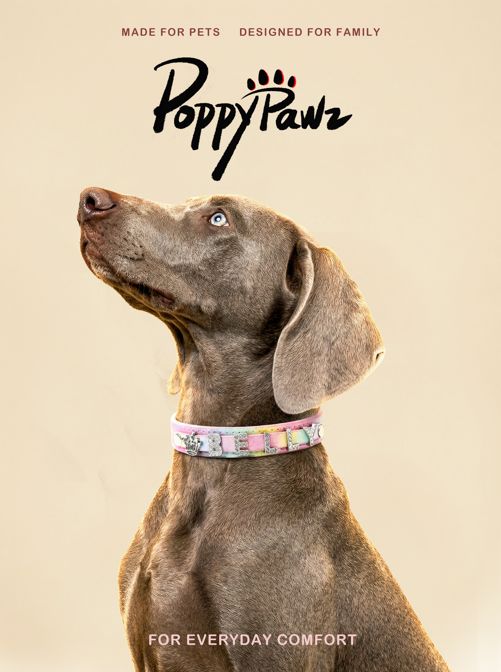 Custom Letter Leather Pet Collar