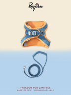 Suede Cat Harness and Lead Set
