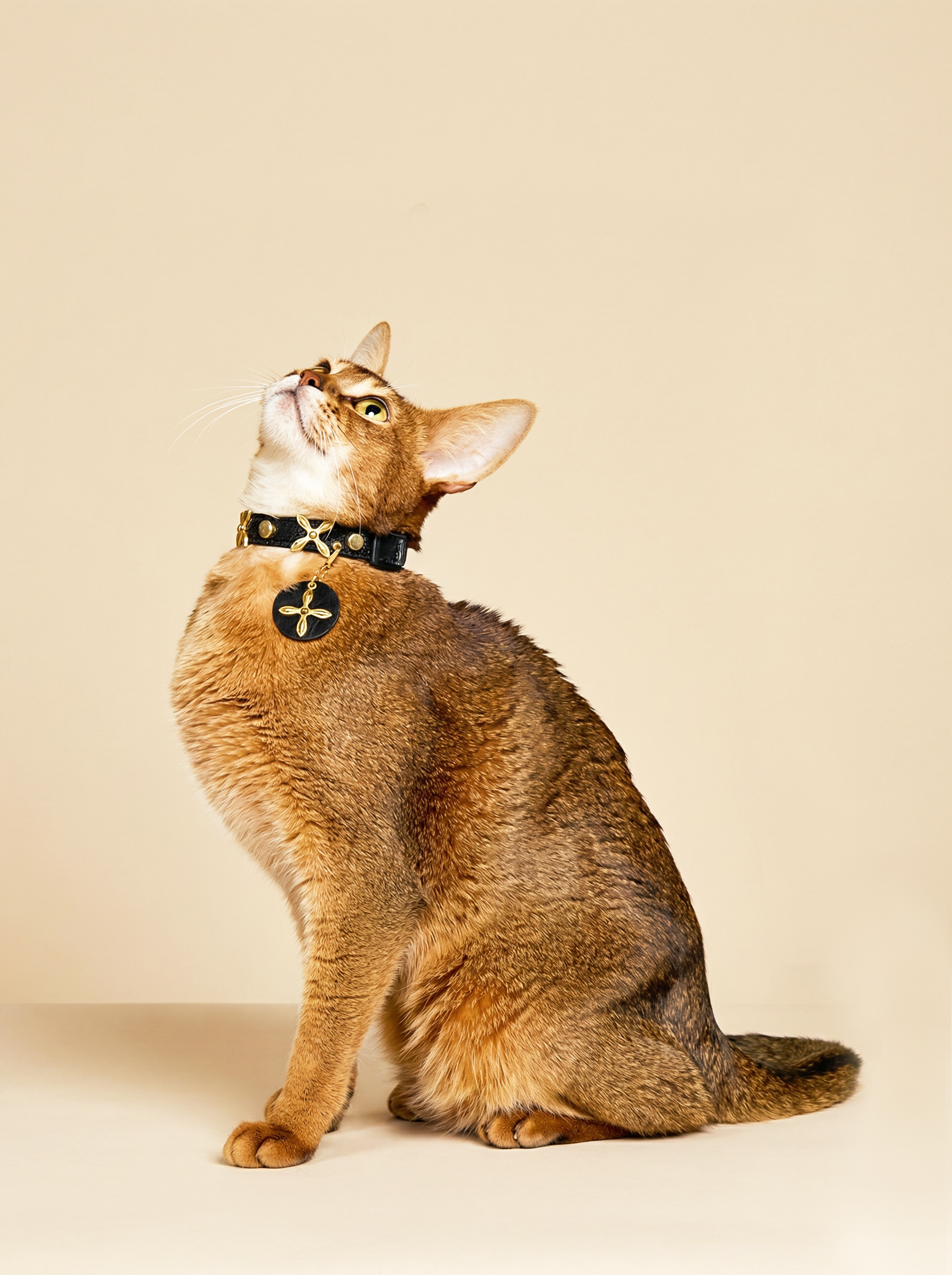 Golden Clover Collar