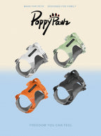 Lightweight Reflective Dog Harness and Lead Set with ID Tag