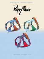 Denim No-Pull Dog Harness and Lead Set