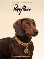 Vintage Leather Dog & Cat Collar with Medallion Charm
