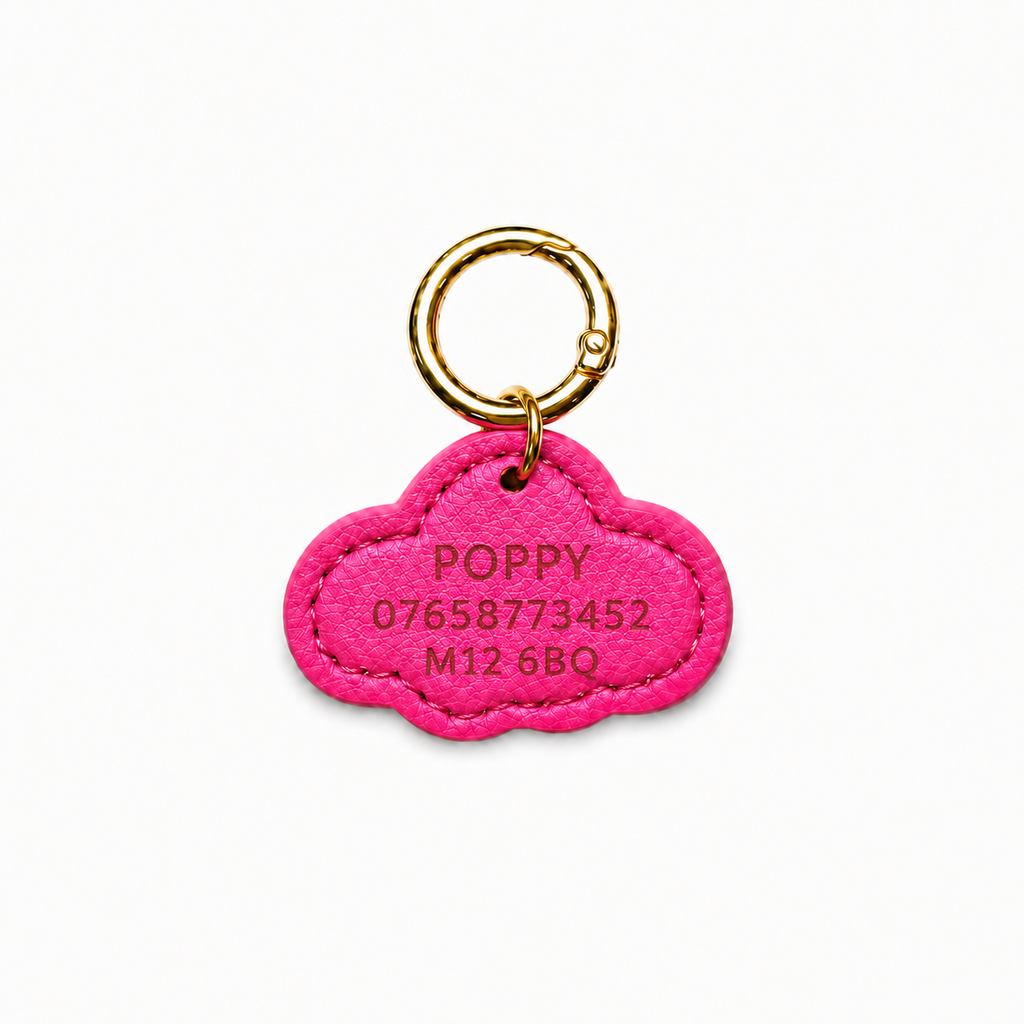 Personalised ID Tag Pink*